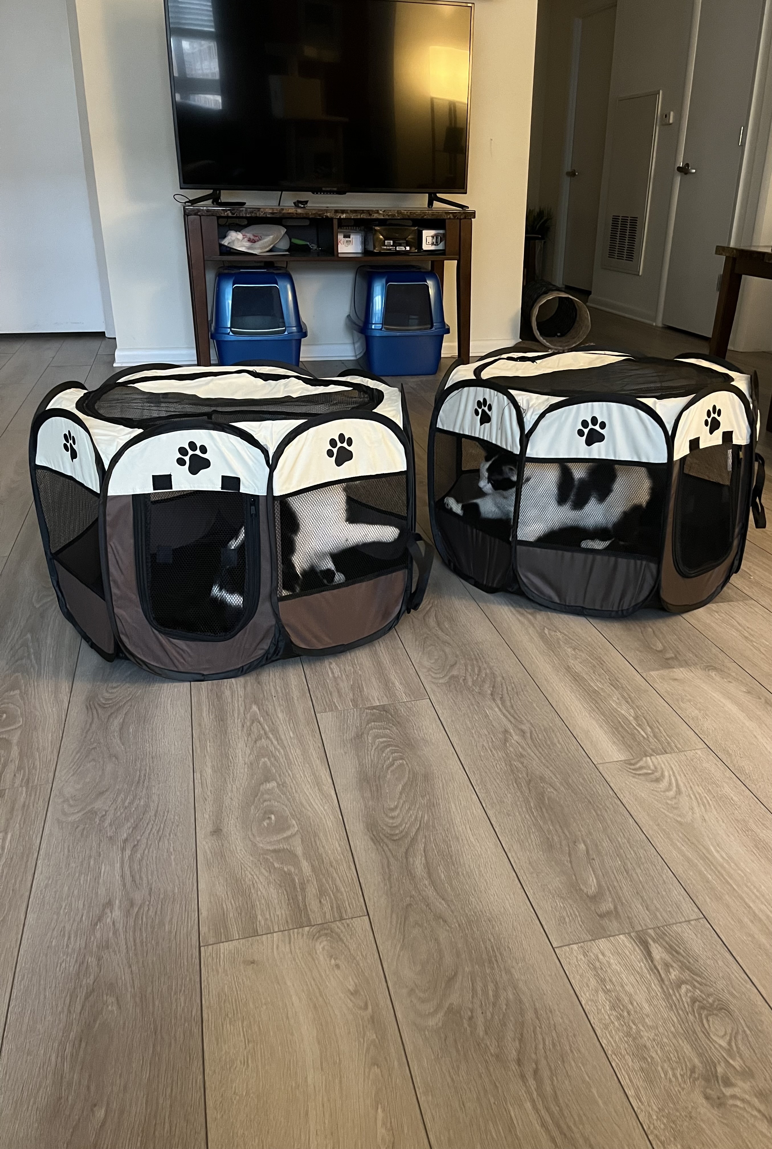 Octagonal Cage Pet Cloth Tent: A Practical Solution for Comfortable and Convenient Pet Housing