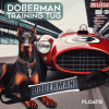 Doberman Fire Hose Training Tug