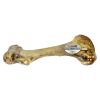 Femur Beef Bone