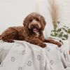 GF PET Logo Blanket