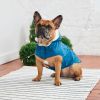 GF Pet Insulated Raincoat