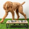 GF Pet Mango Wood & Metal Elevated Feeder